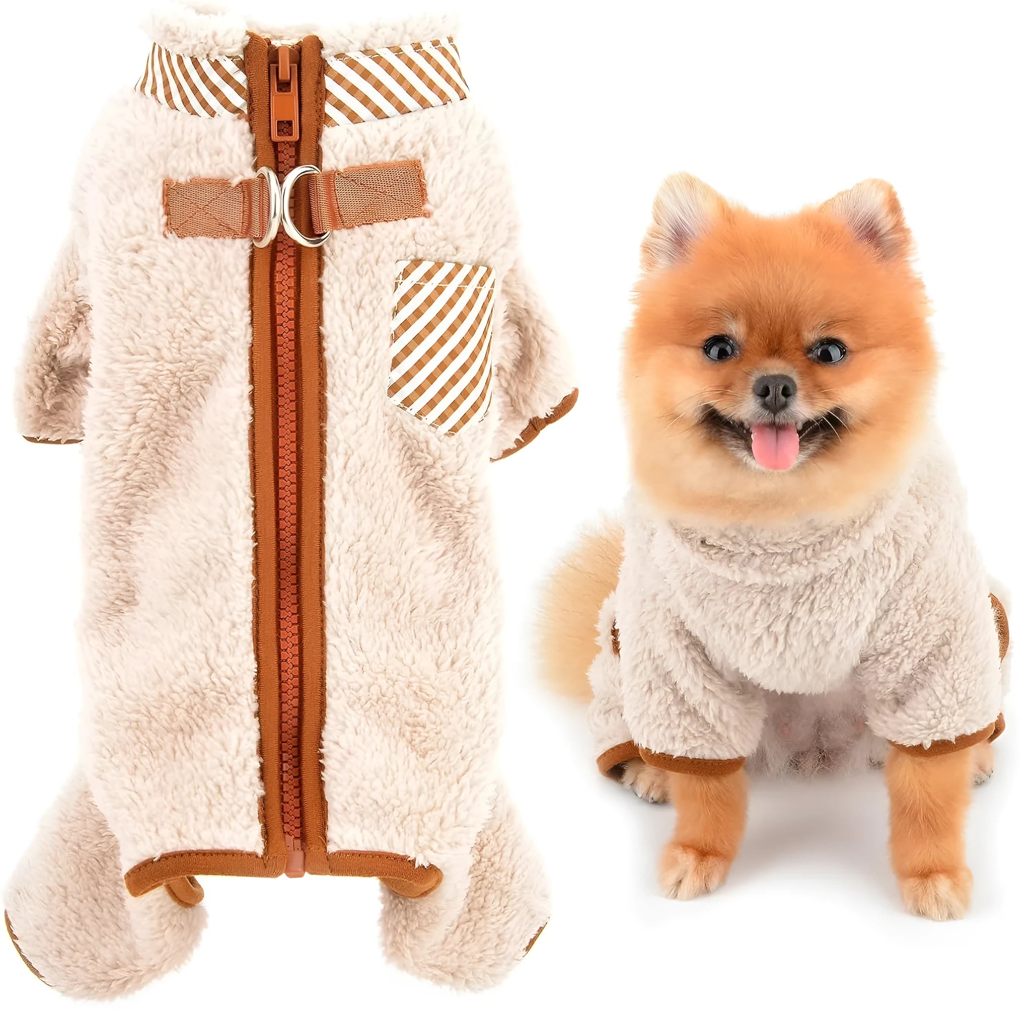 Small dog wearing green fleece coat with back zipper and D-rings, four-legged jumpsuit style