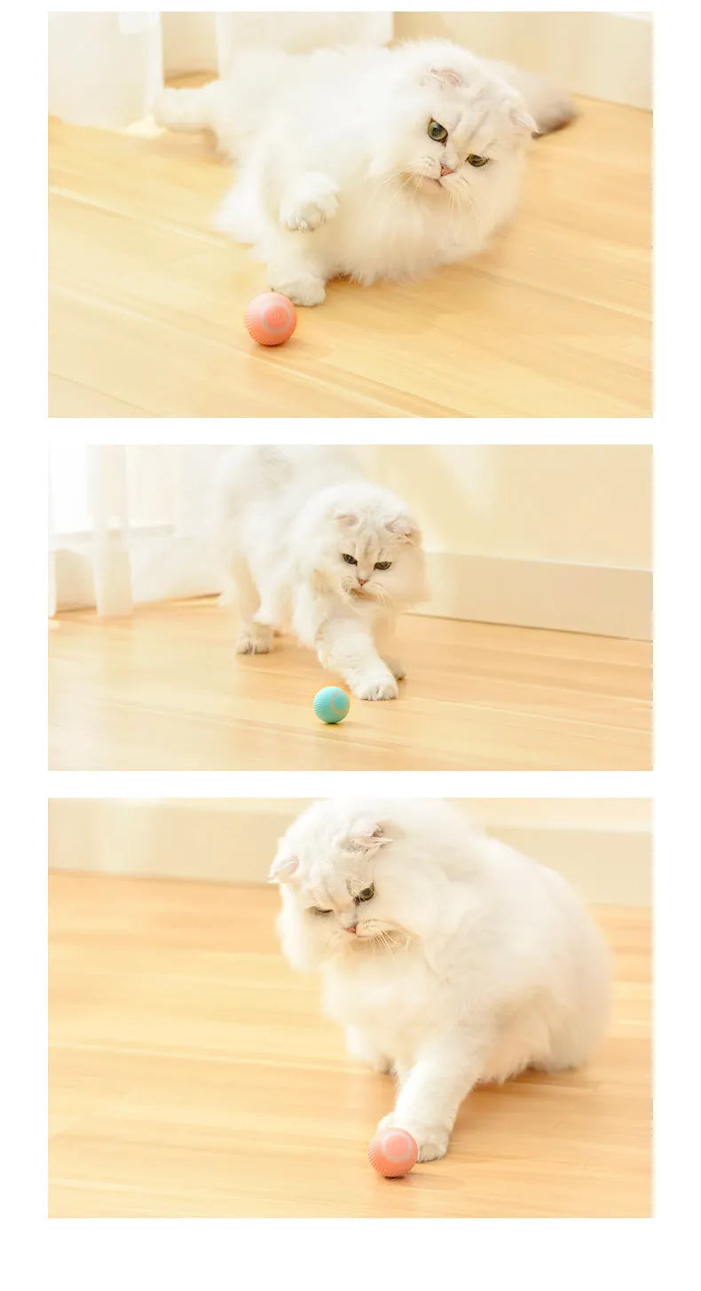 Cat Gravity 43mm intelligent rolling ball toy in plastic with bionic motion and obstacle avoidance