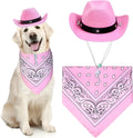 Cat wearing cowboy hat and bandana costume set for Halloween