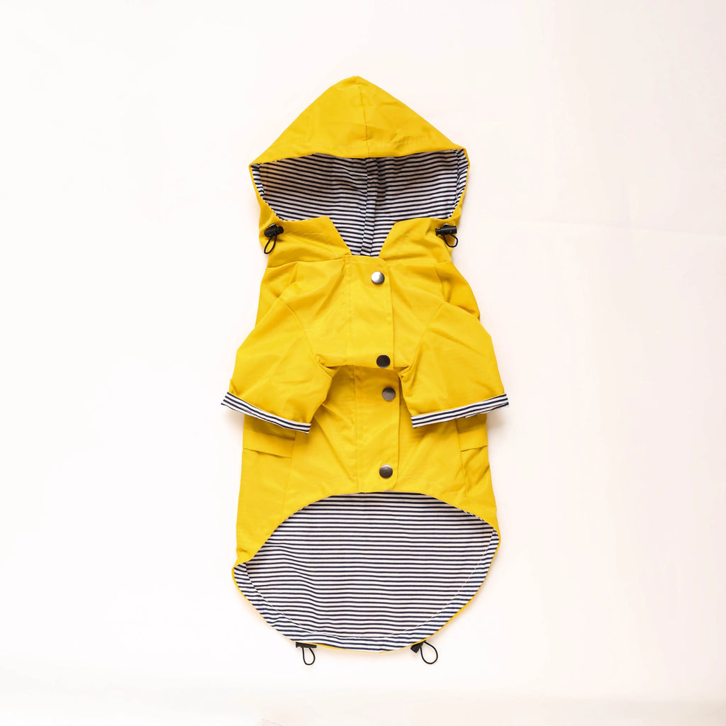 Yellow polyester dog raincoat with high-density twill windproof and waterproof design
