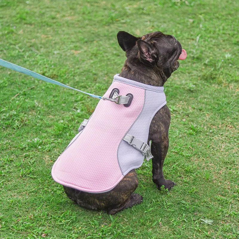 Pet cooling vest in blue, orange, green, or pink, breathable mesh and absorbent cotton, sizes S to 3XL.