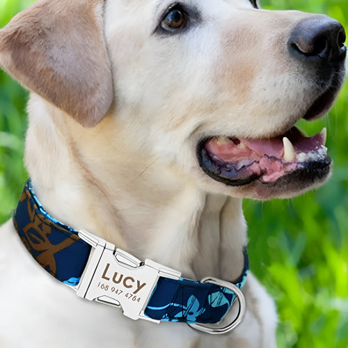 Adjustable nylon dog collar shown in black, green, and rose red colours for small, medium, or large dogs.