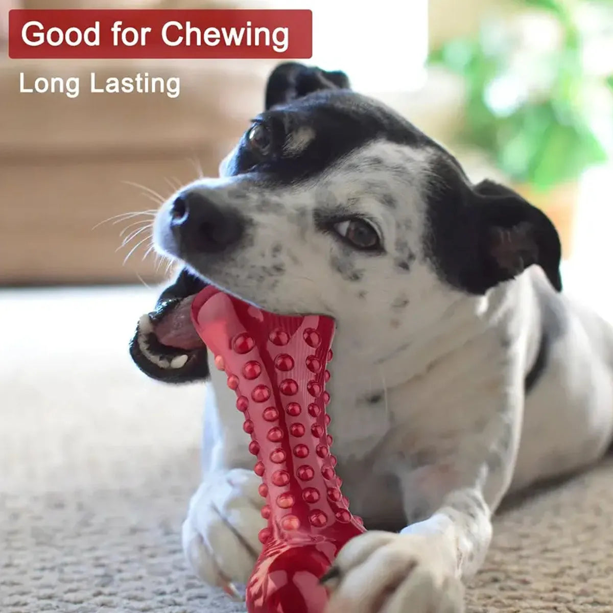 Red natural rubber chew toy for aggressive chewing dogs on wooden floor