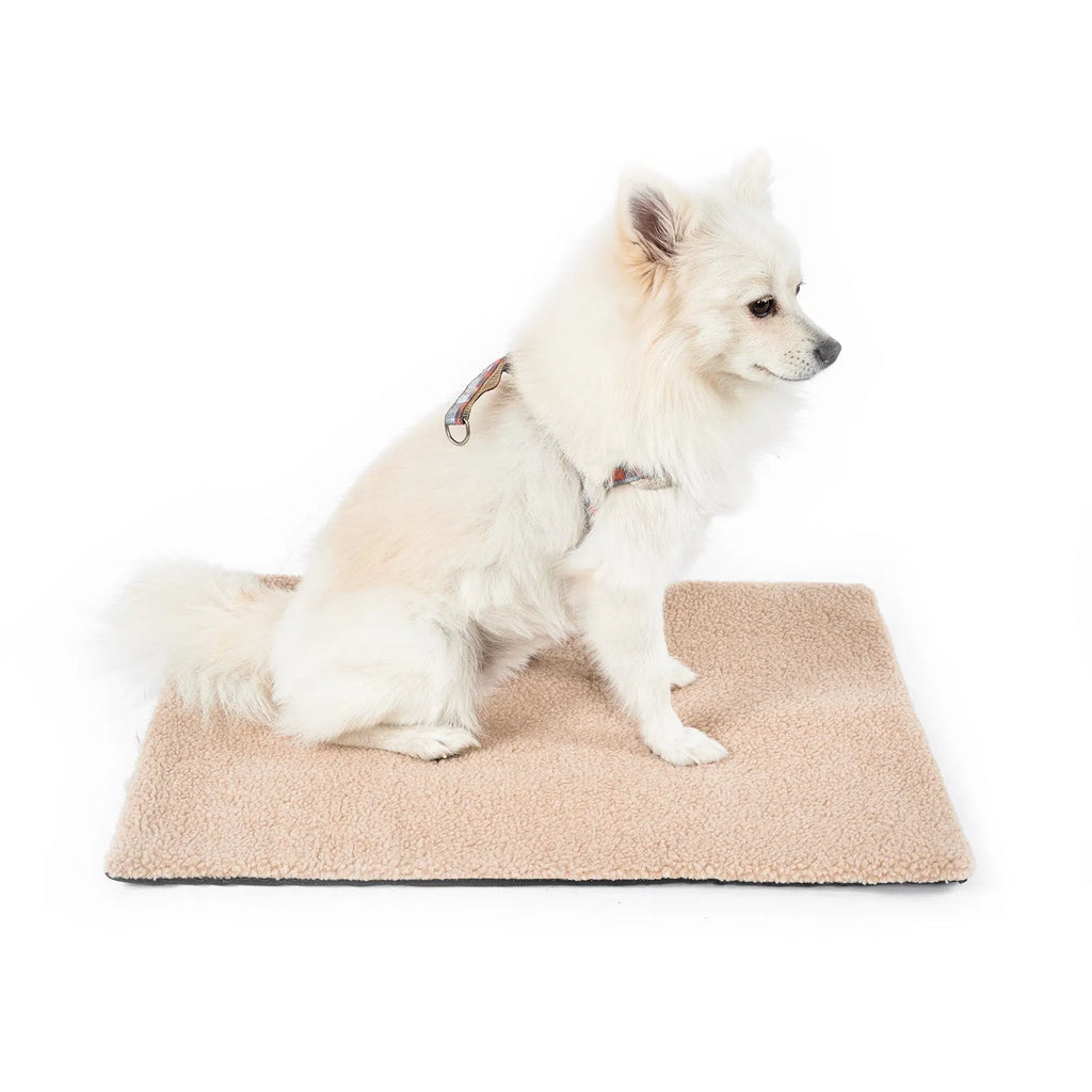Grey self-heating plush pet bed blanket for cats on wooden floor