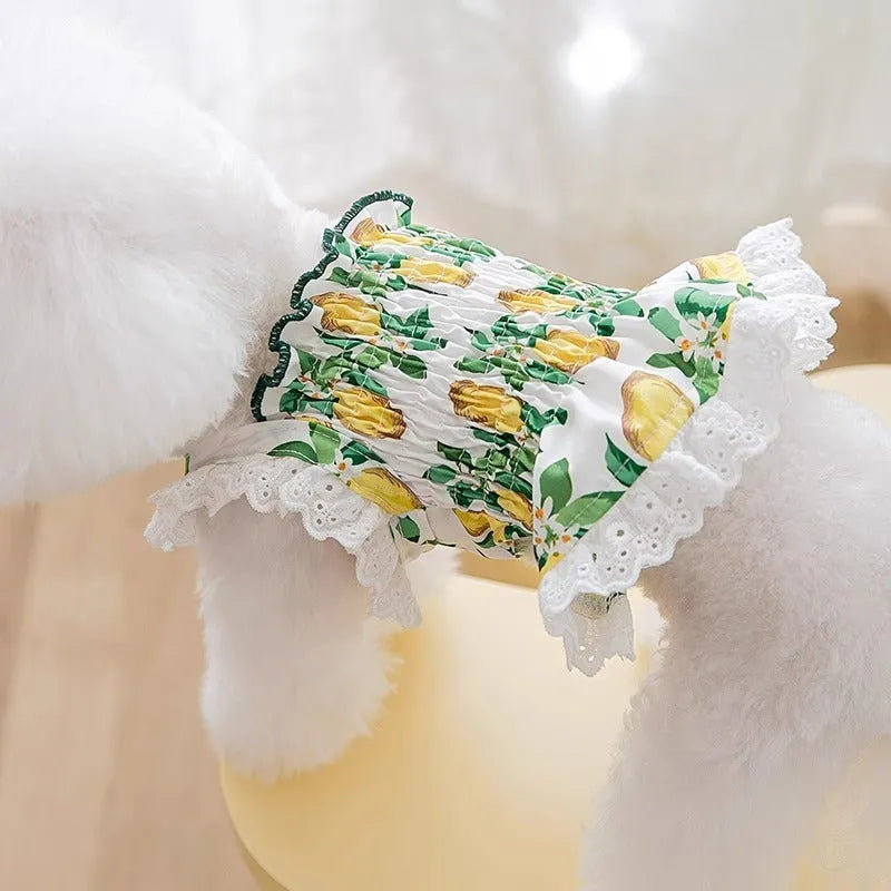 Rock yellow lemon princess style strap skirt dog dress on small dog