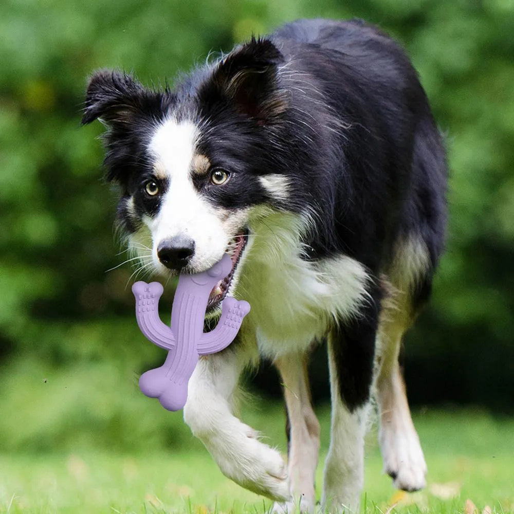 Beige, blue, and purple cactus-shaped dog chew toy made from bamboo fibre and rubber