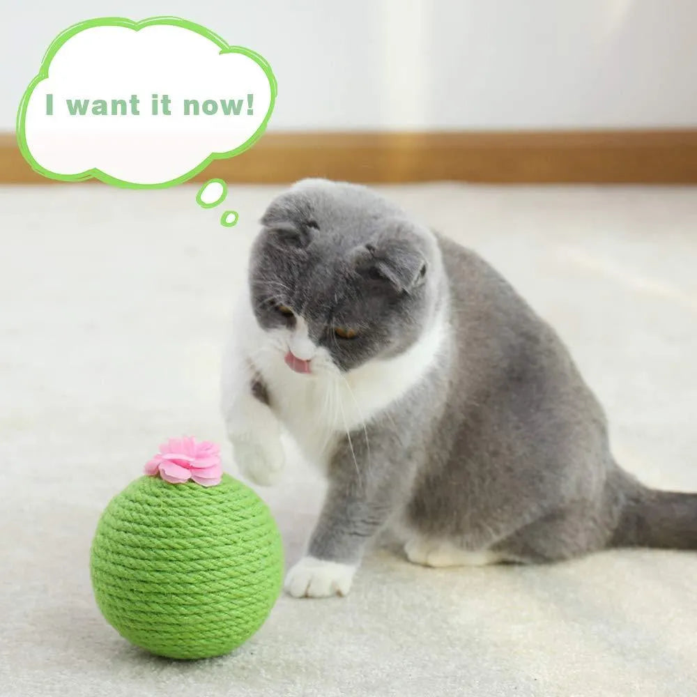 Green cactus-shaped cat scratcher ball with natural sisal scratching surfaces and integrated catnip toys