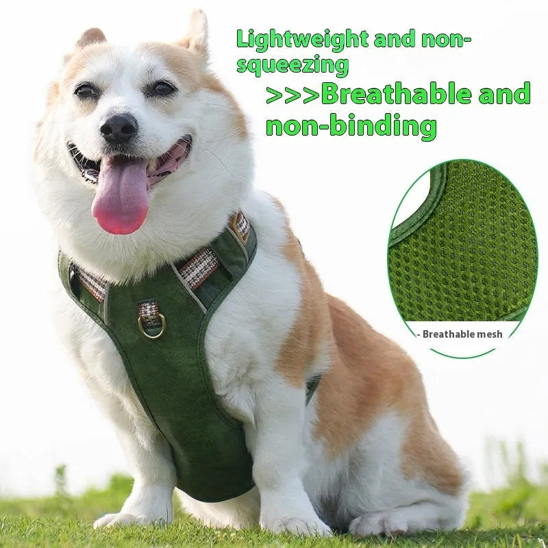 Brown leather dog harness with reflective strips and chest clip.