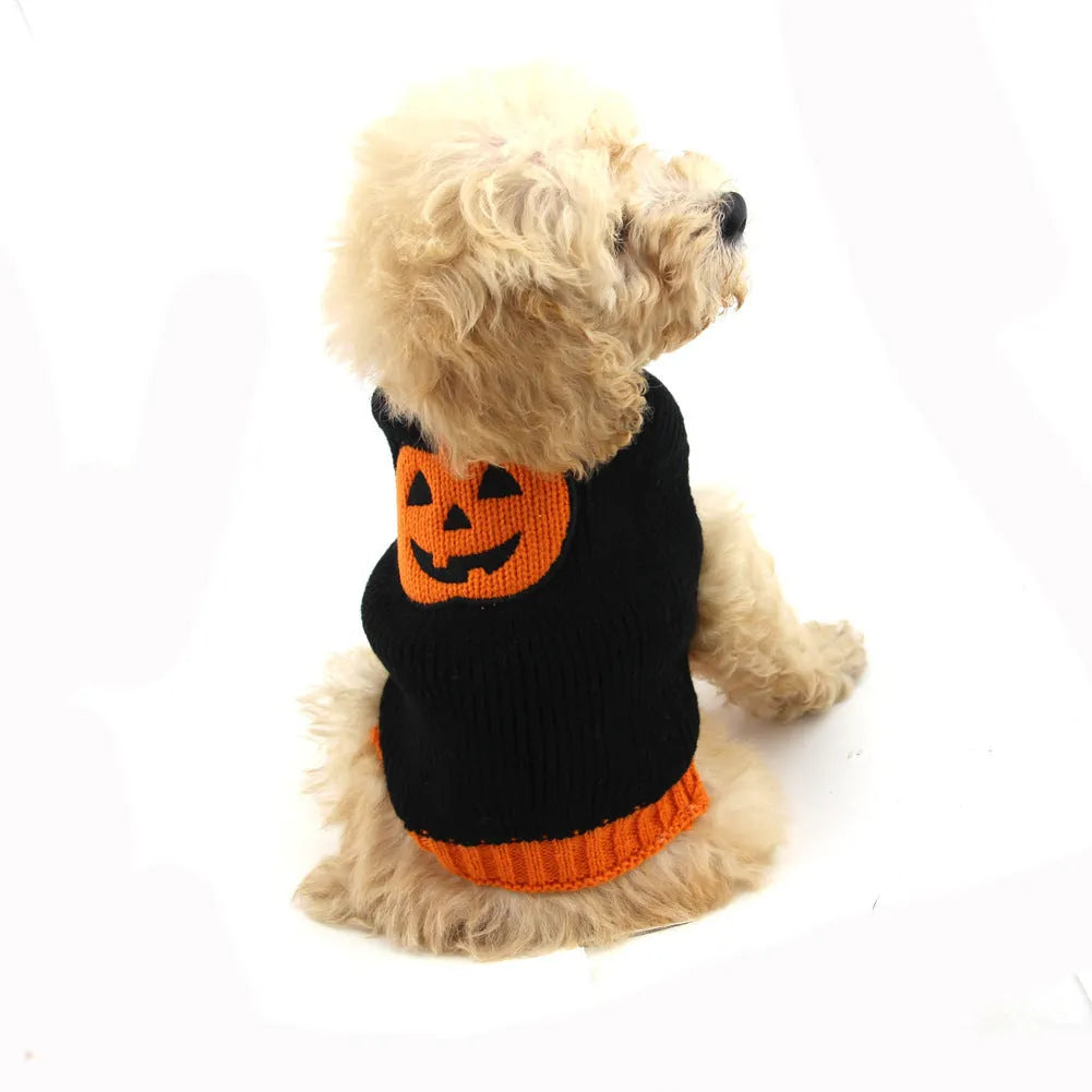 Orange black pumpkin knitted dog sweater on a small breed dog with a Halloween theme and visible knit texture