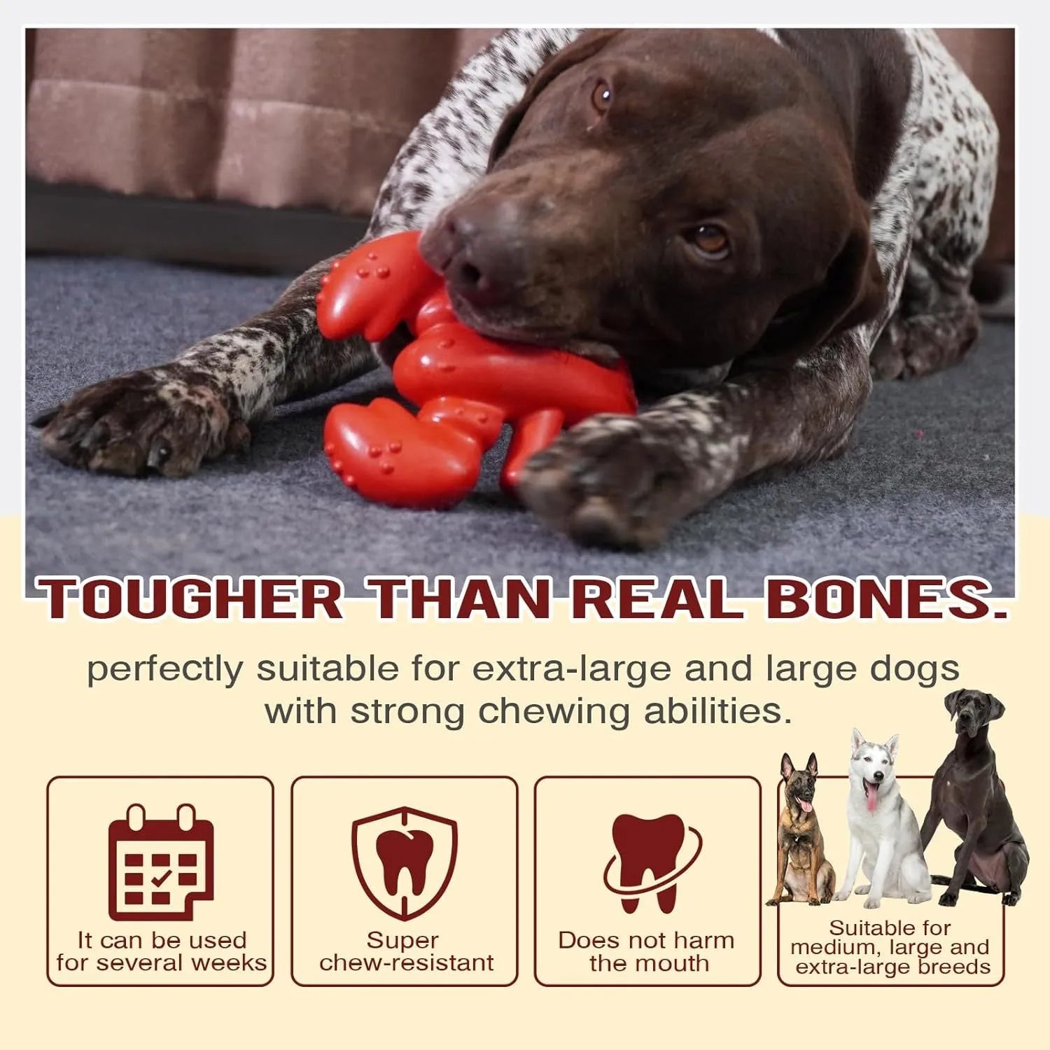 Red nylon chew toy for large dogs measuring 170mm long with dimensions for aggressive chewers