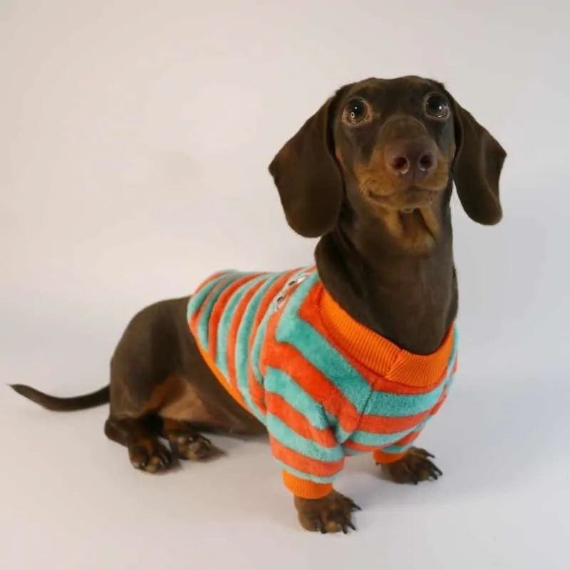 Striped orange and white pet sweatshirt for dogs and cats with round neck design