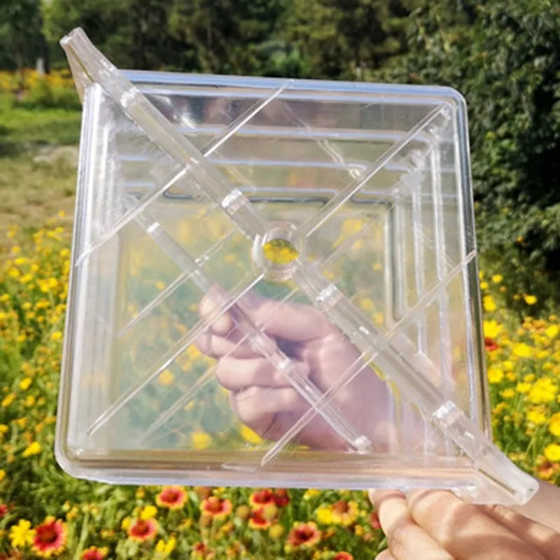 Square plastic growth mould for shaping watermelons into 13cm cubes