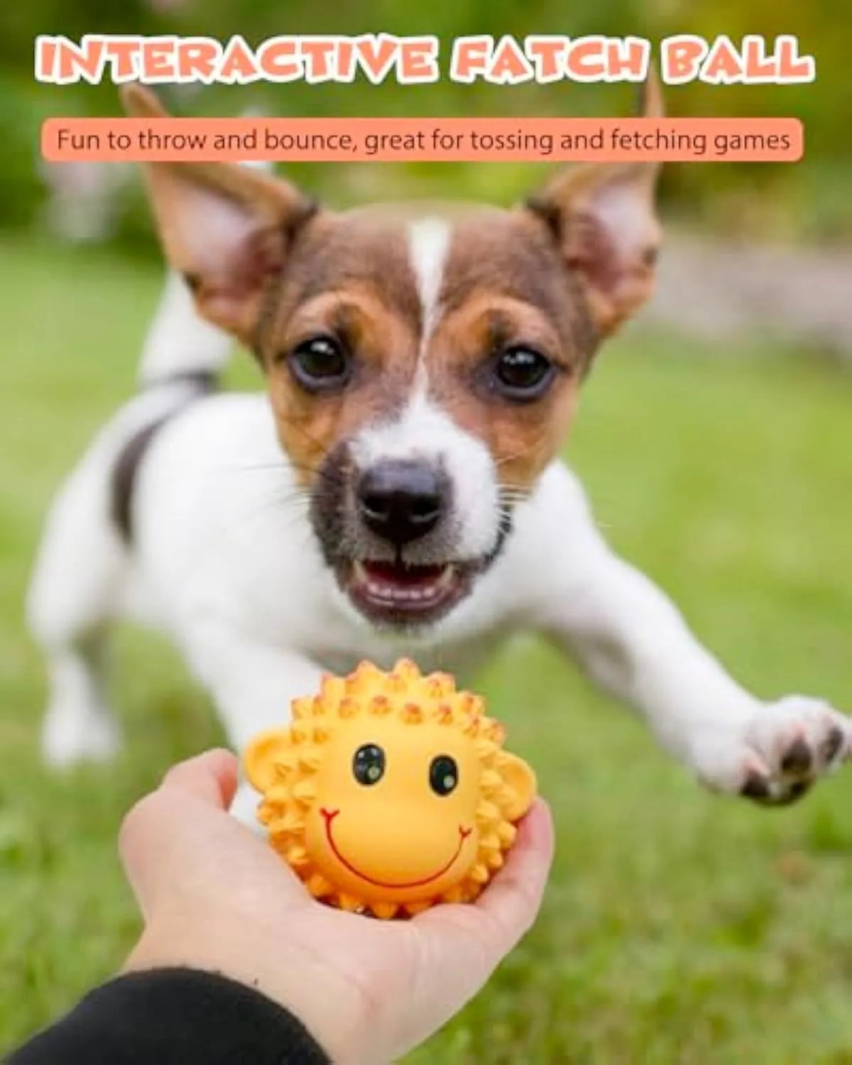 Set of four spiky orange and yellow latex squeaky animal dog toys for fetch and teeth cleaning.