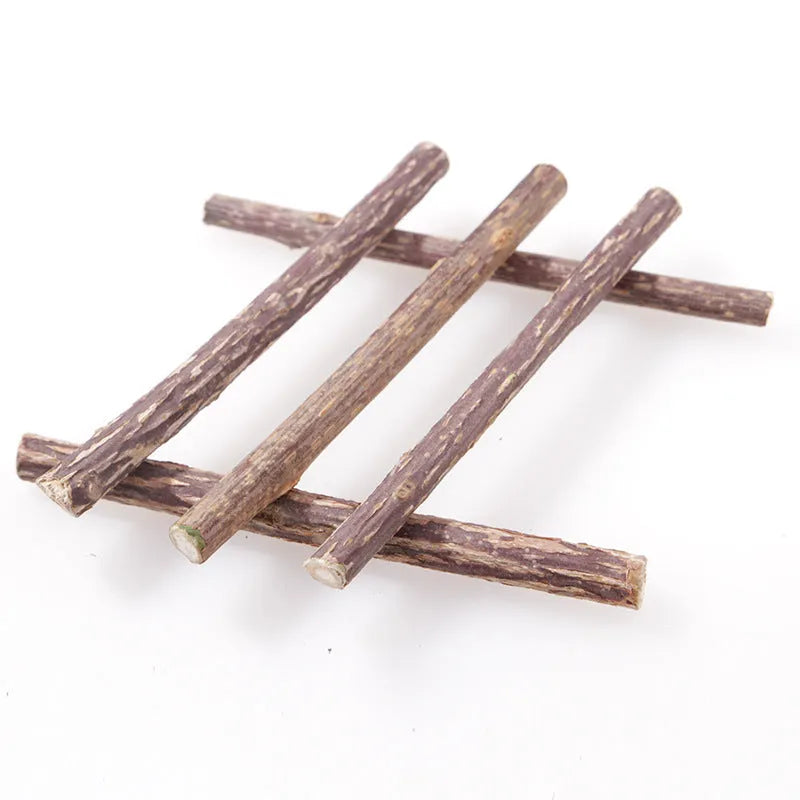 Pet Cat Molar Rod dental chew sticks for adult cats, 15g each, molar rod flavour, pack of 5