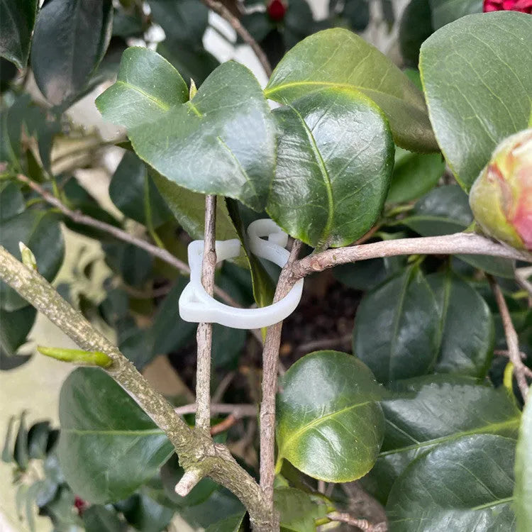 Colourful plastic cat-shaped clip for plant pots in red, yellow, green, and white.