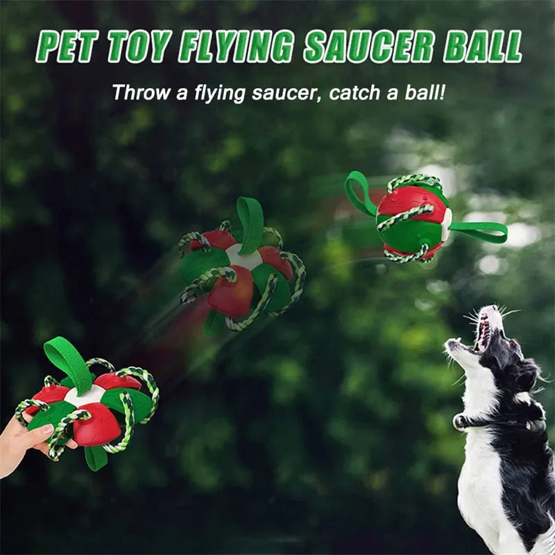 Interactive dog football soccer ball with tabs in blue, showing sphere form with cotton rope and nylon tug rope, on grass