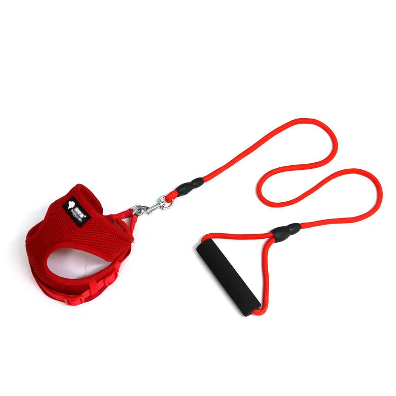 Blue dog leash with foam handle and matching adjustable collar for small dogs