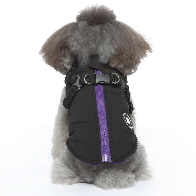 Adjustable chest strap dog winter jacket in blue, showing the strap closure and cotton-padded design.