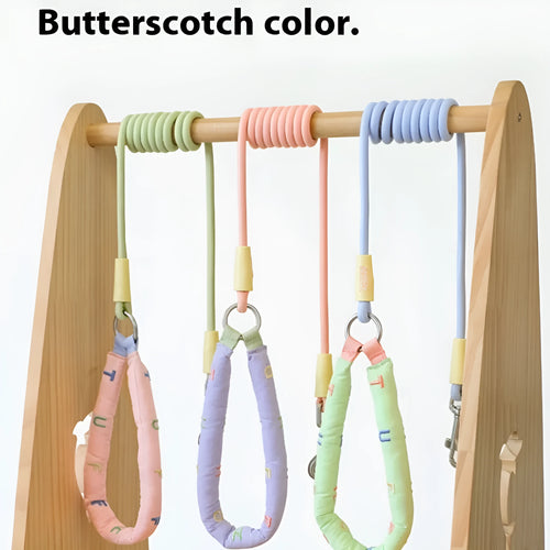 Polyester dog leash with hand holding rope section in four colour options