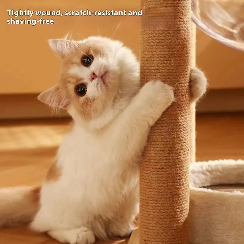 Wooden cat climbing frame with integrated space capsule in luxury colour finish