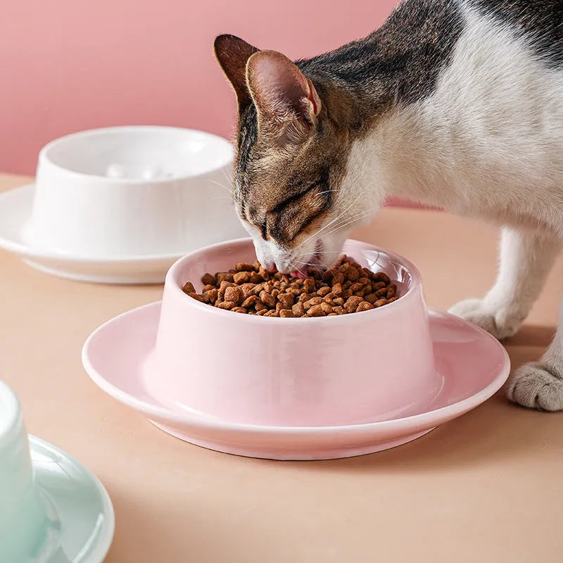 Green ceramic slow feed pet bowl with raised interior ridges and a non-slip black rubber base.