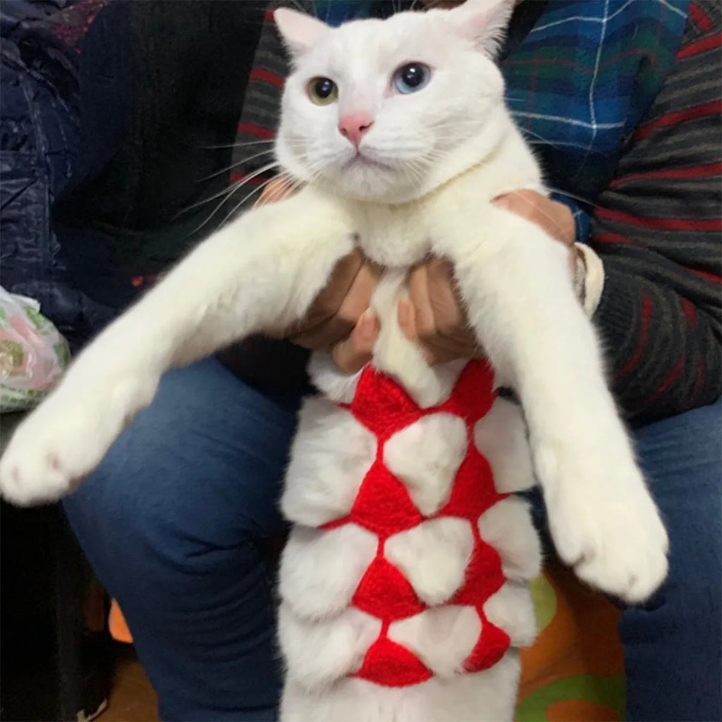 Sweet style cat bikini costume for Halloween and pet parties in various colours.