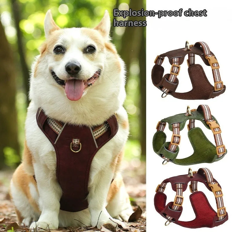 Brown leather dog harness with reflective strips and chest clip.