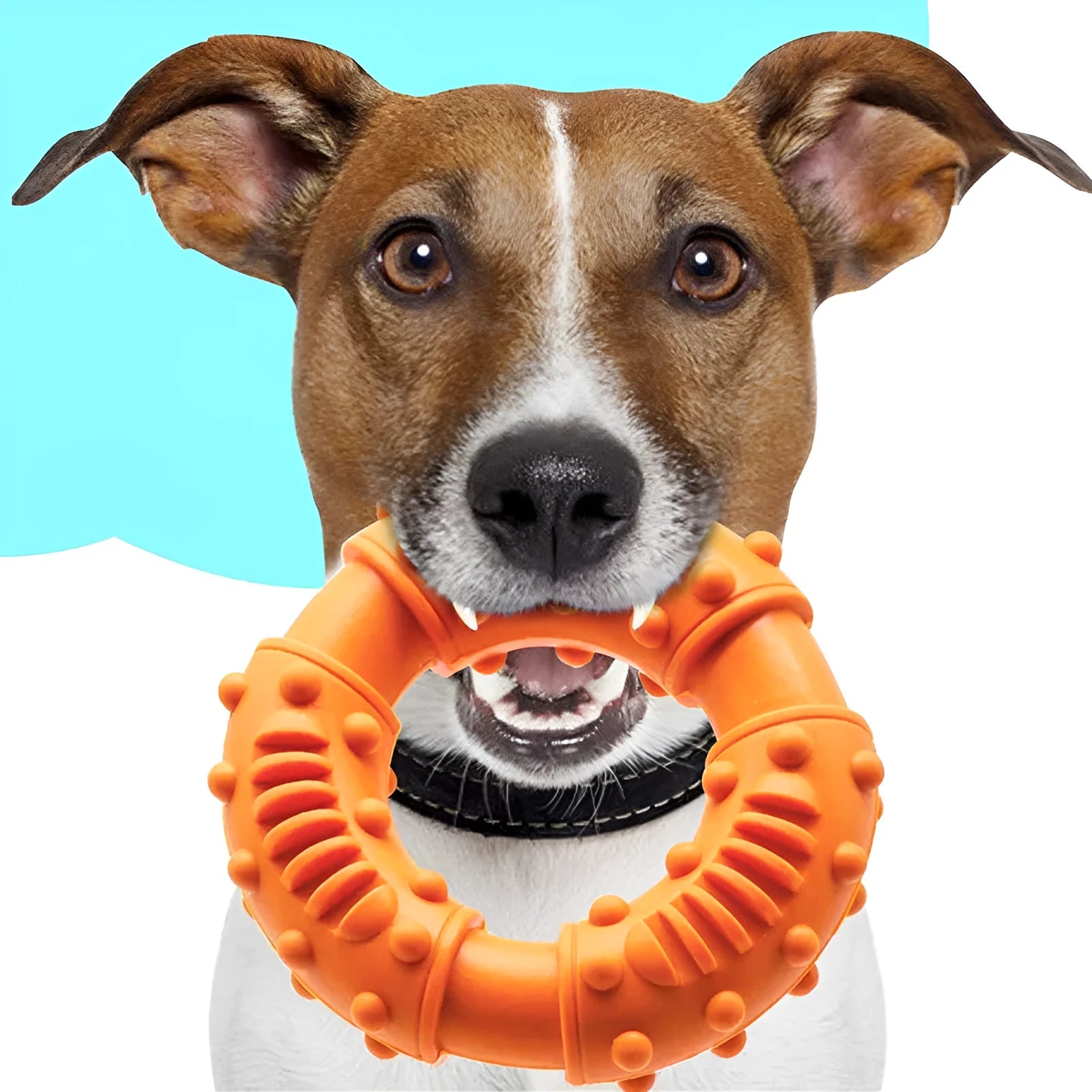Blue hollow dog fetching stick toy for catch and fetch games on grass.