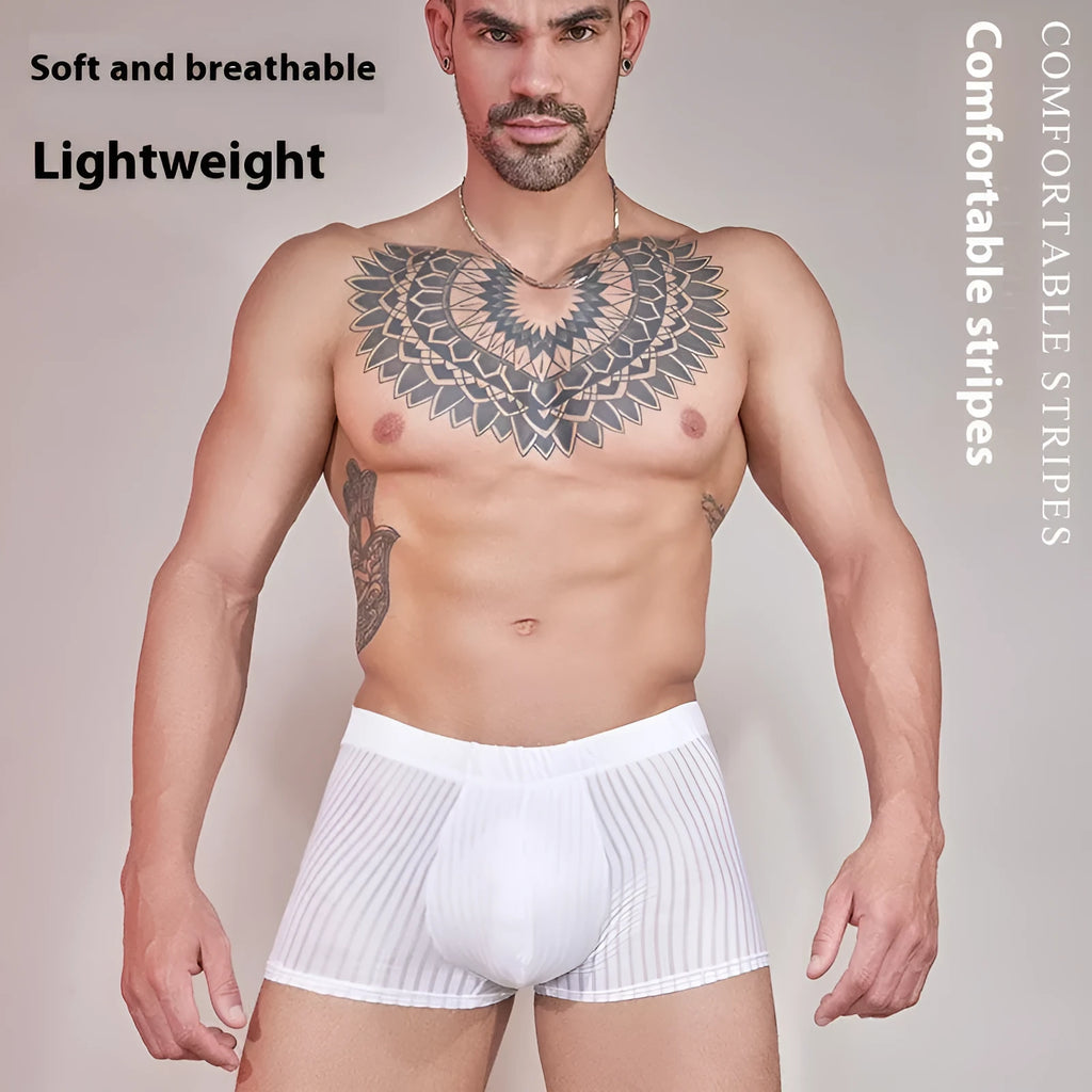 Men's striped underwear in thin transparent nylon fabric, shown in black, white, and dark grey colours.
