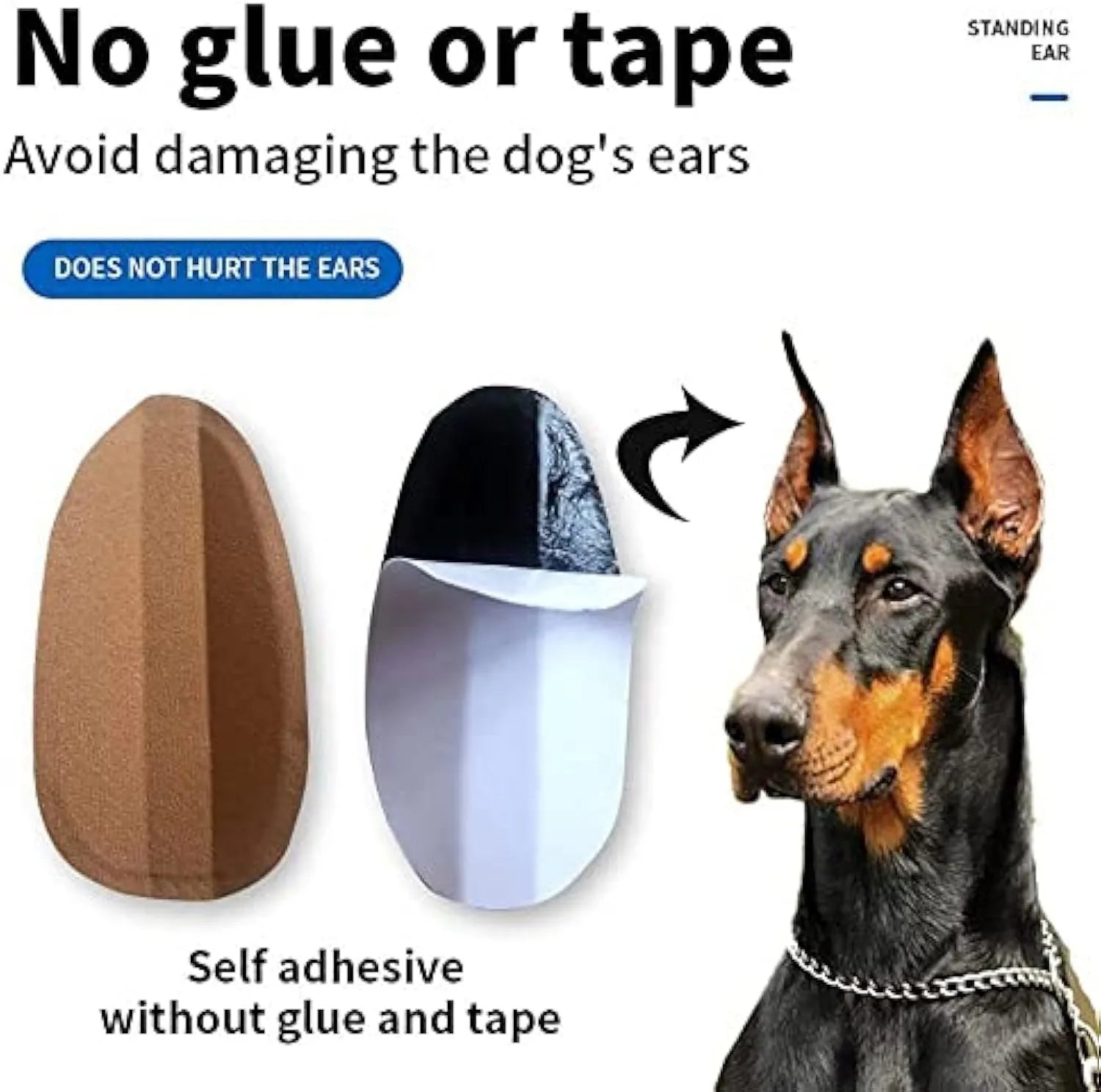 Dog ear correction support tape and wrap tool shown next to size chart for puppy ear training.