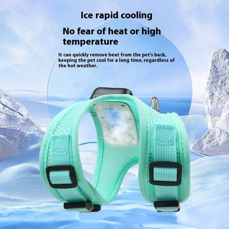 Mint green small dog cooling harness with LED light and leash on a white background