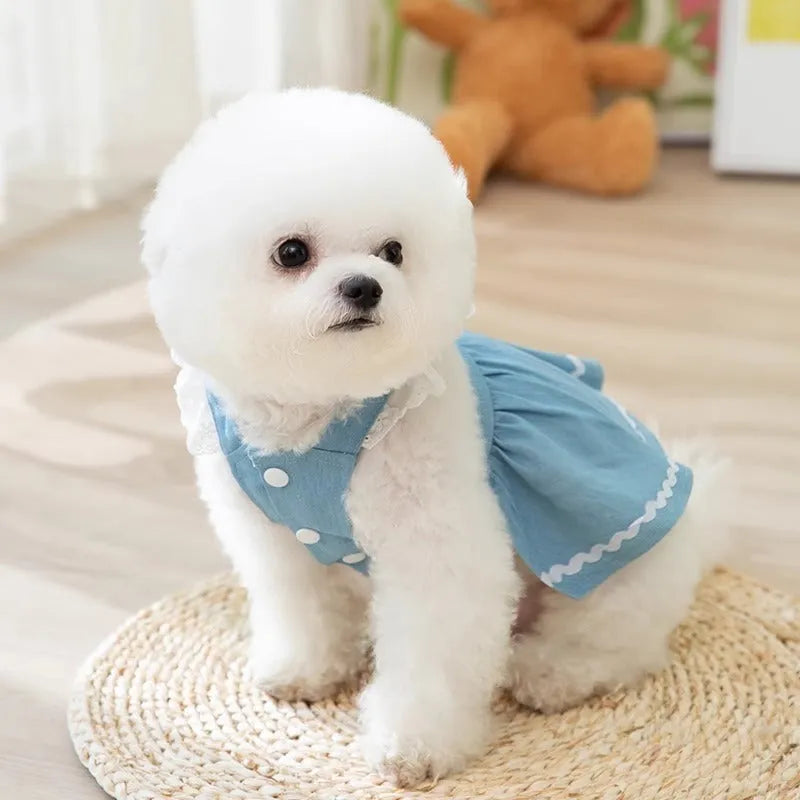 Bondi Blue strawberry traction denim skirt dog clothes for small dogs in sizes XS to XL.
