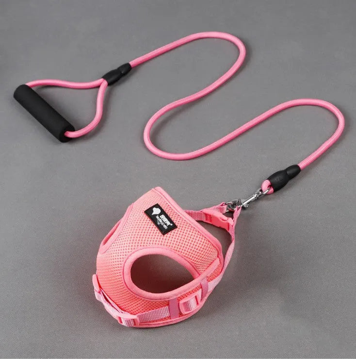 Blue dog leash with foam handle and matching adjustable collar for small dogs