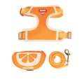 Green orange pink pet chest strap with anti-slip design and matching backpack for dogs cats