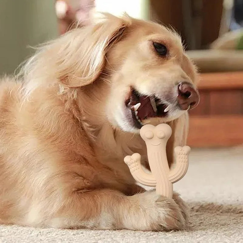 Beige, blue, and purple cactus-shaped dog chew toy made from bamboo fibre and rubber