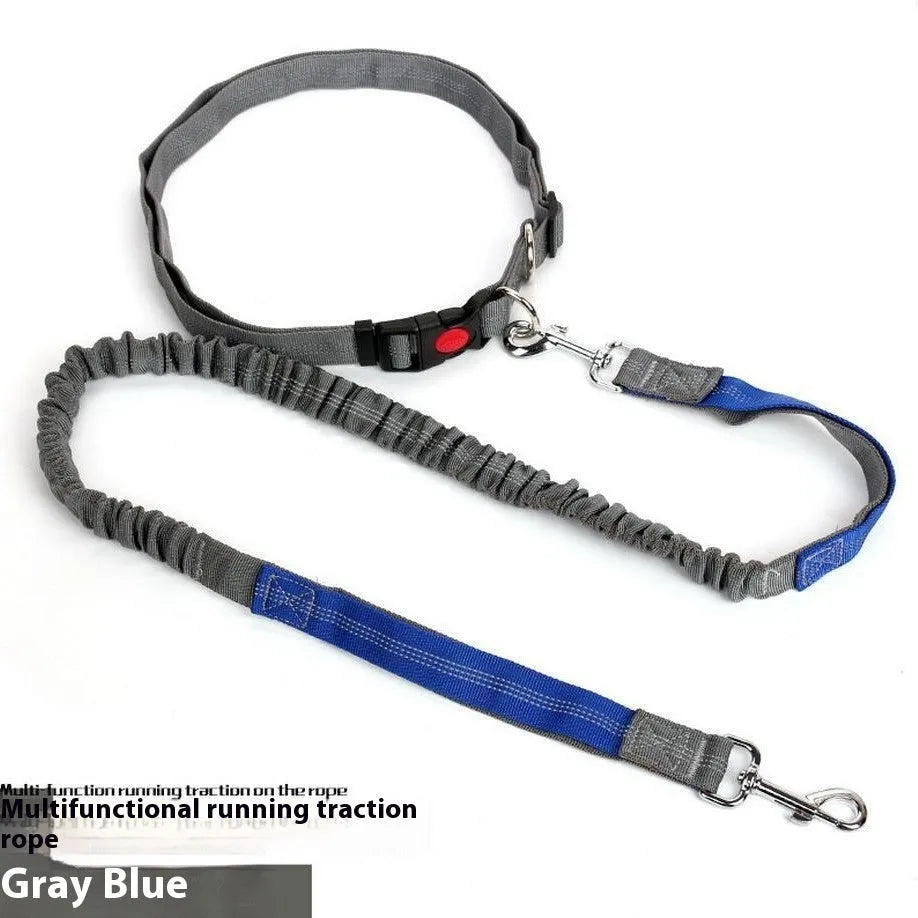 Reflective elastic dog leash with 2.5cm nylon sling in blue and red two-tone colour combination