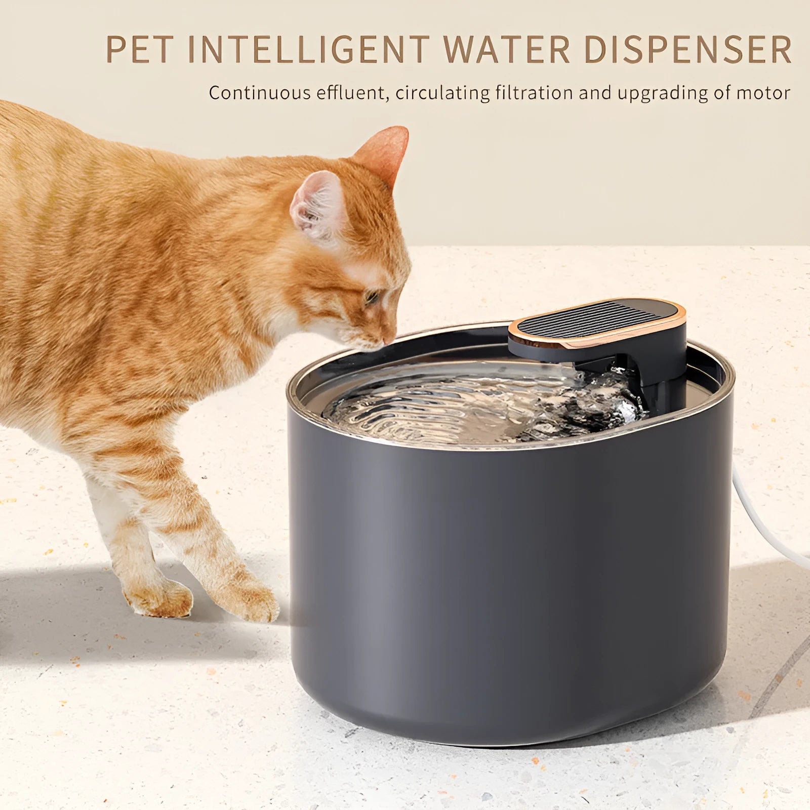 Automatic pet water fountain with USB cable, showing detachable bowl, pump, and filter in Berlin Blue colour.
