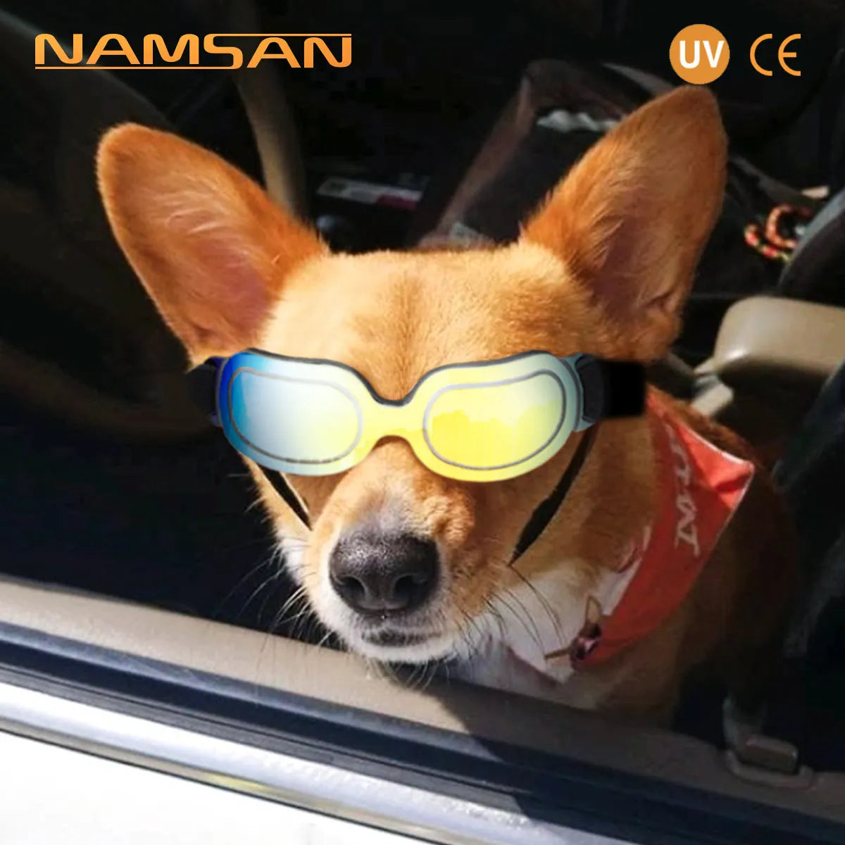 Pet dog glasses sunglasses PC frame colourful cat sunglasses in blue colour outdoor use