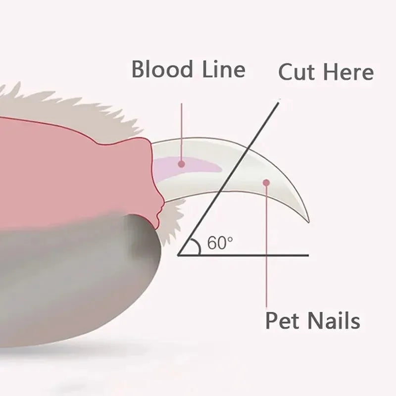 Blue pet nail clippers with LED light on, showing non-slip handles and stainless steel blade.