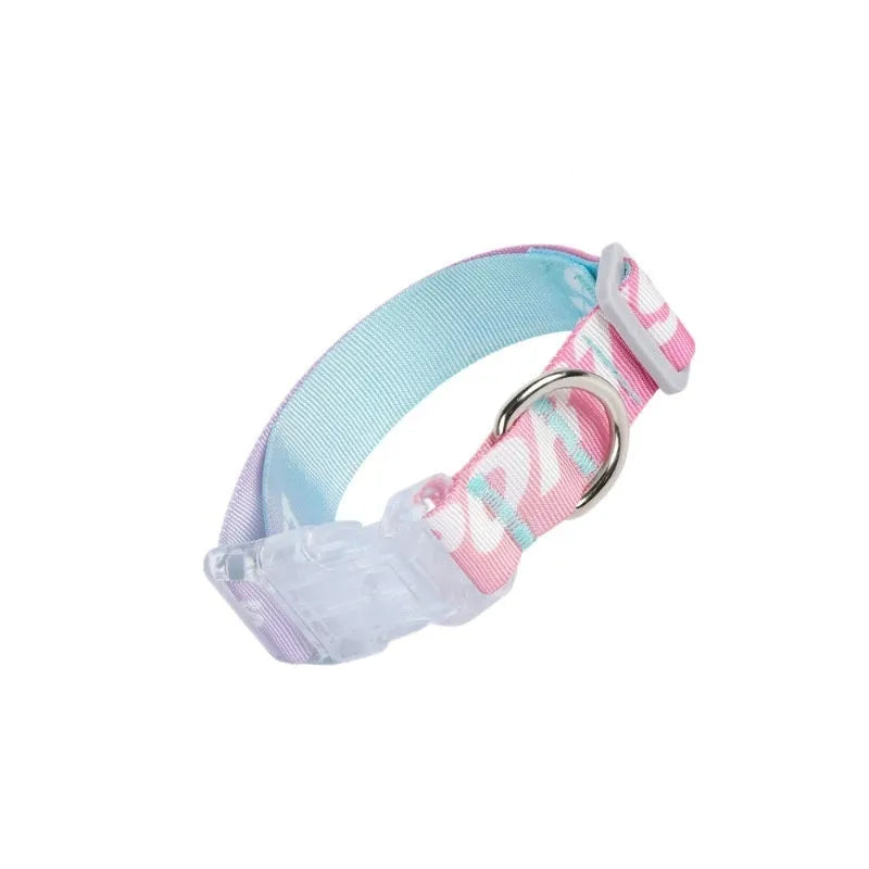 Adjustable nylon dog collar with vibrant cartoon gradient print and metal D-ring on a green background.