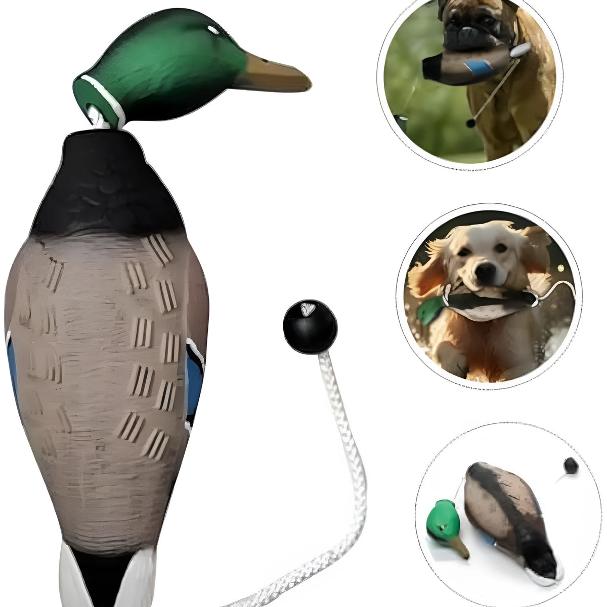 Green no-stuffing duck dog toy made from EVA, 35 cm x 10.5 cm x 8 cm, with quacking sound for chewing and training.