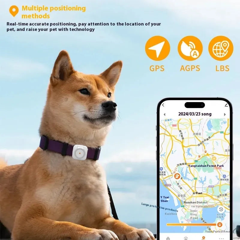 Pet GPS global locator with health monitoring, compact 40x15mm ABS PC device, Black Orange model