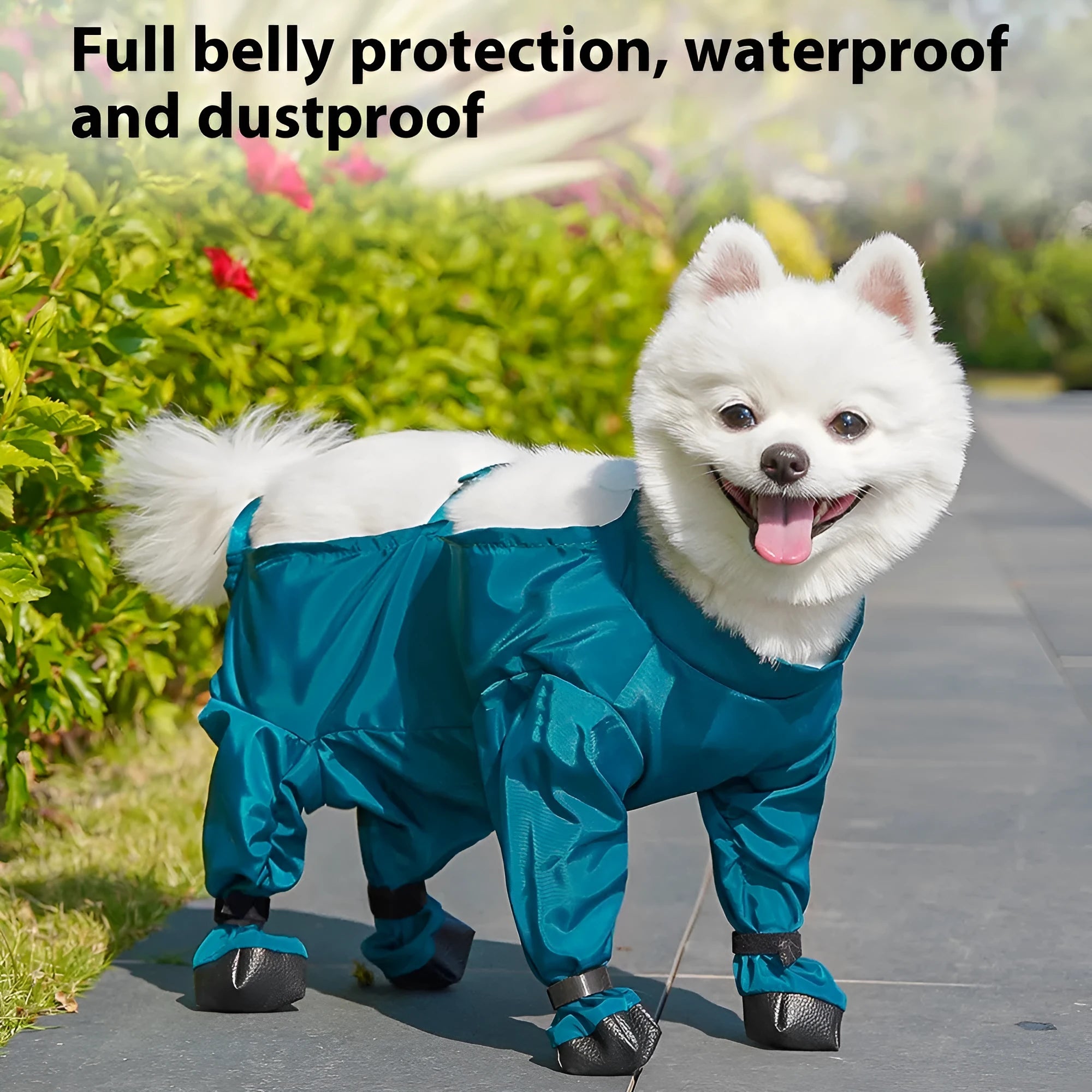 Peacock blue pet diaper bag belly jumpsuit made from waterproof memory cloth with foot-wrapped design on a small dog