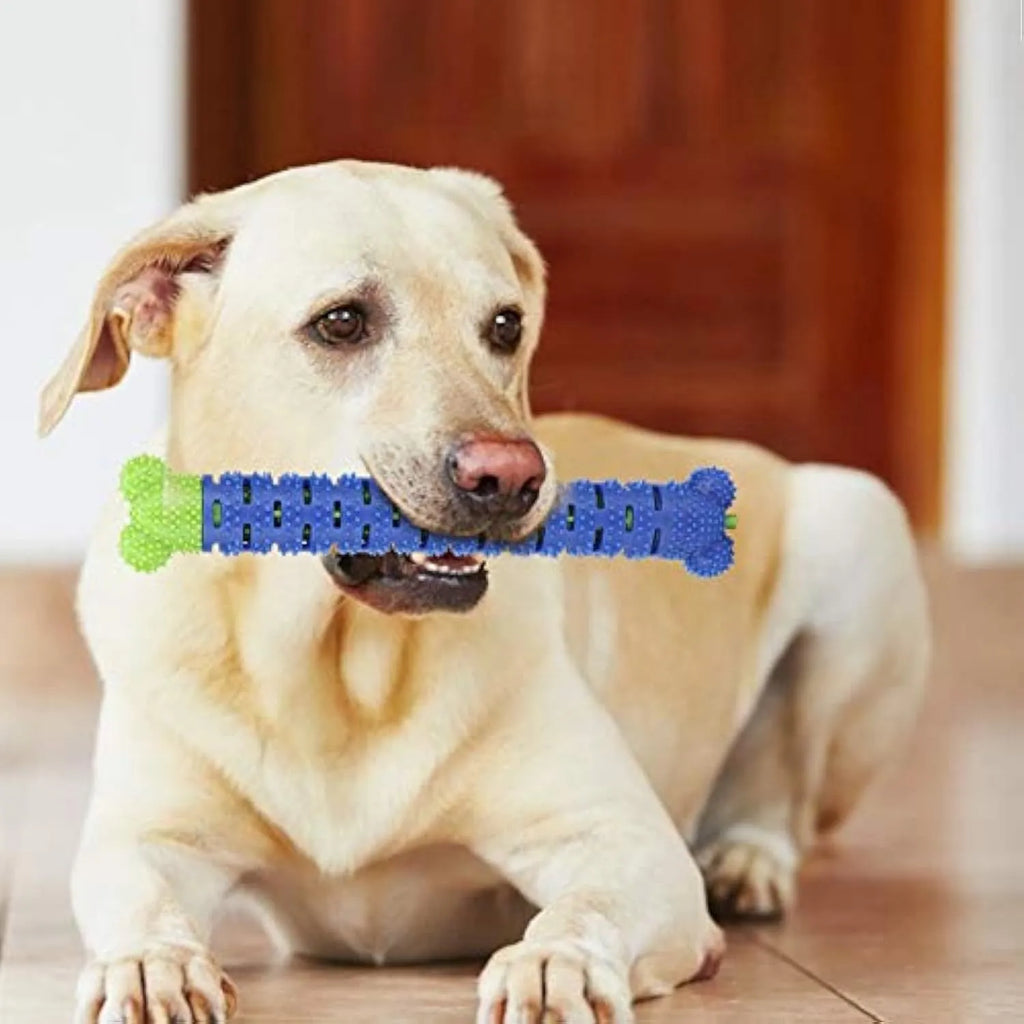 Blue green silicone dog toothbrush chew toy with bristles and nodules for teeth cleaning.