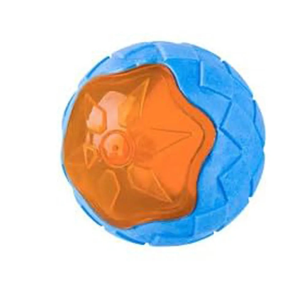 Set of four colourful floating dog toys: a ball, a barbell, and two tyres, on a blue background.