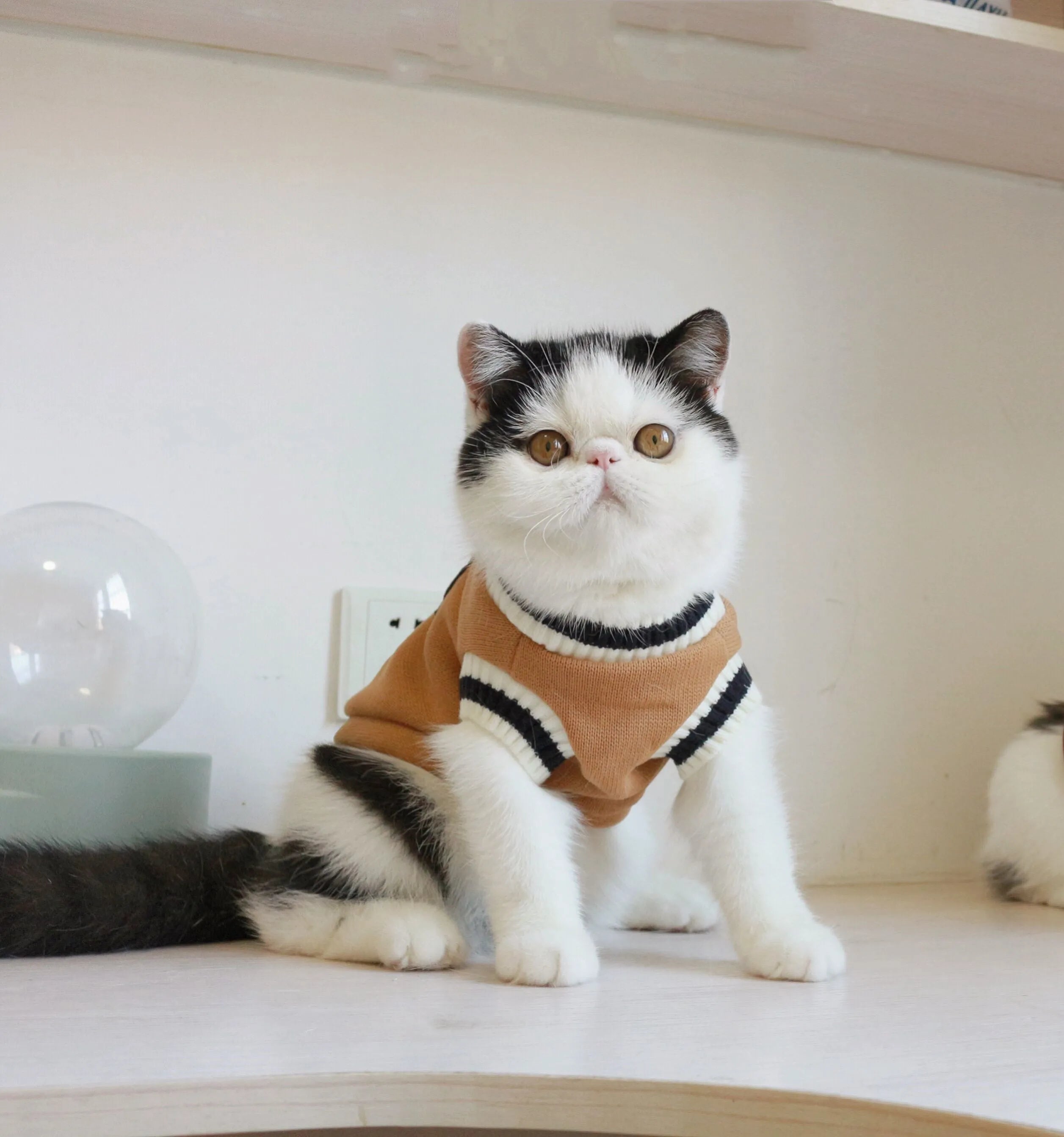 Green fleece knit sleeveless cat vest, college style, size S to 3XL