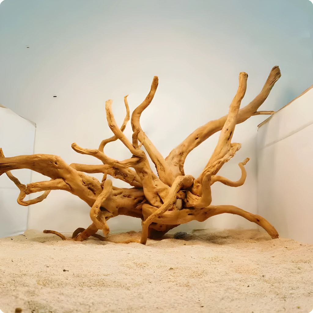 Natural wood Xiaoqi root aquarium decoration ornament for fish tank scenery.