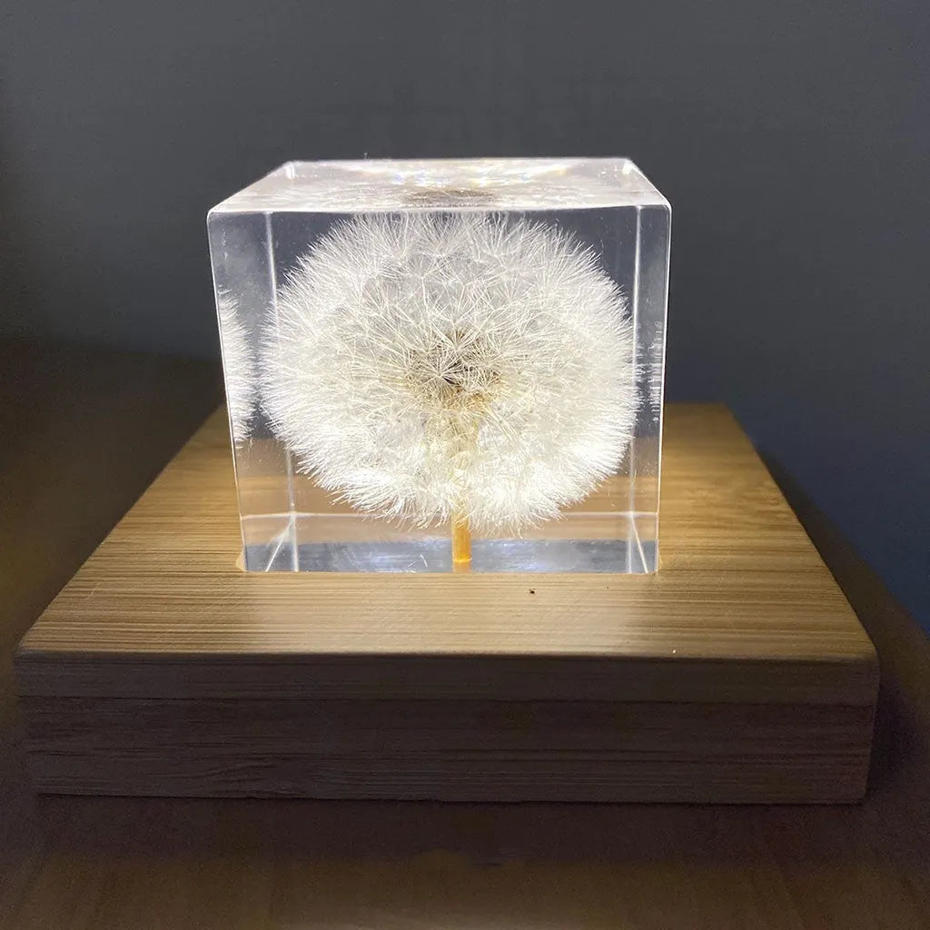 5cm clear resin cube with a real dandelion inside, next to a wooden box and USB charging base.