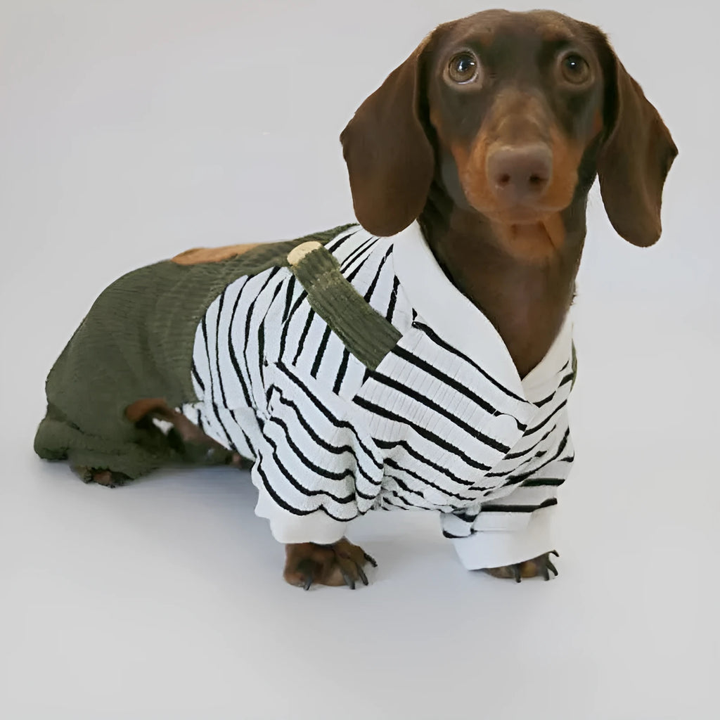 Green black and white striped four-legged pet pants for small dogs, polyester, sizes XS to XL
