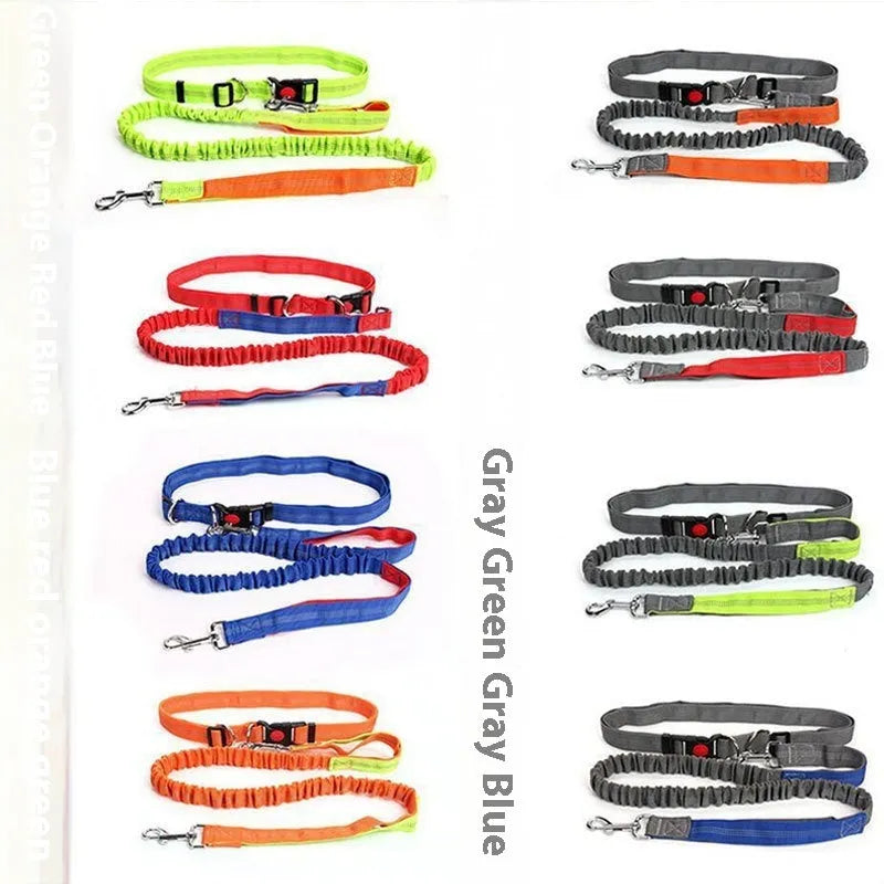 Reflective elastic dog leash with 2.5cm nylon sling in blue and red two-tone colour combination